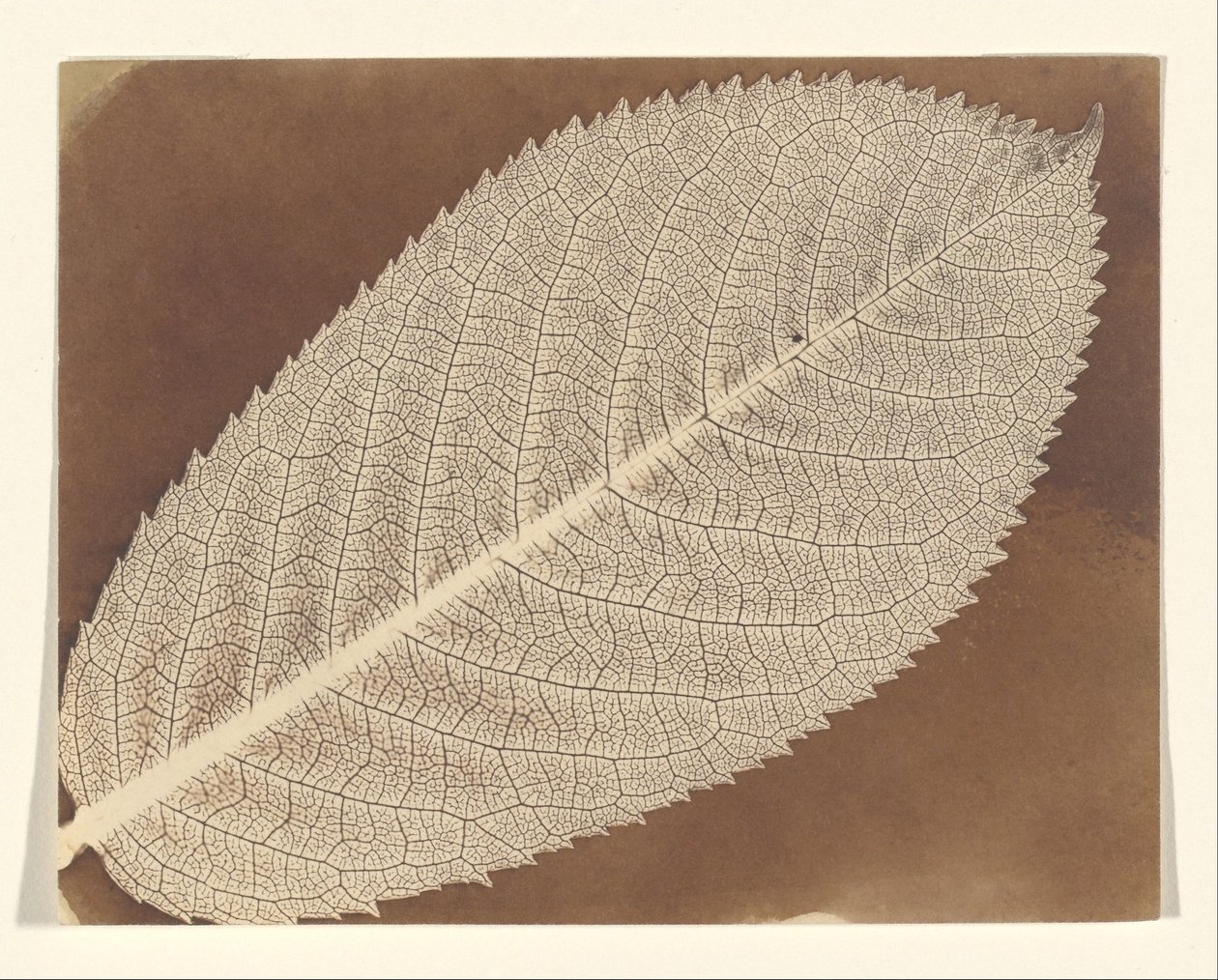 [Karta] autorstwa William Henry Fox Talbot