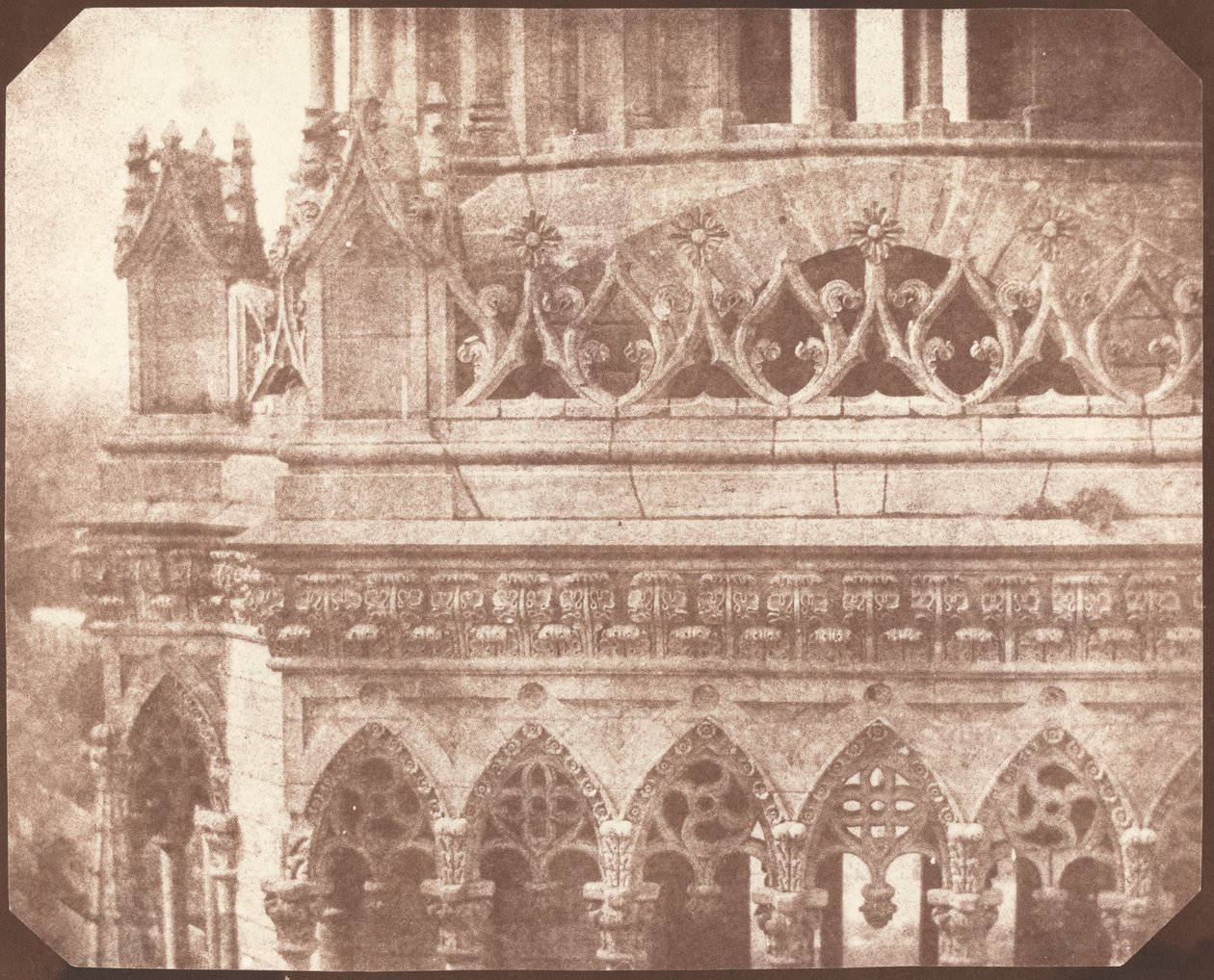 Katedra w Orleanie autorstwa William Henry Fox Talbot