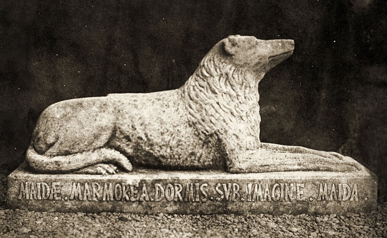 Statua Maidy, podobno ulubiony pies Sir Waltera Scotta. (zdjęcie w sepii) autorstwa William Henry Fox Talbot