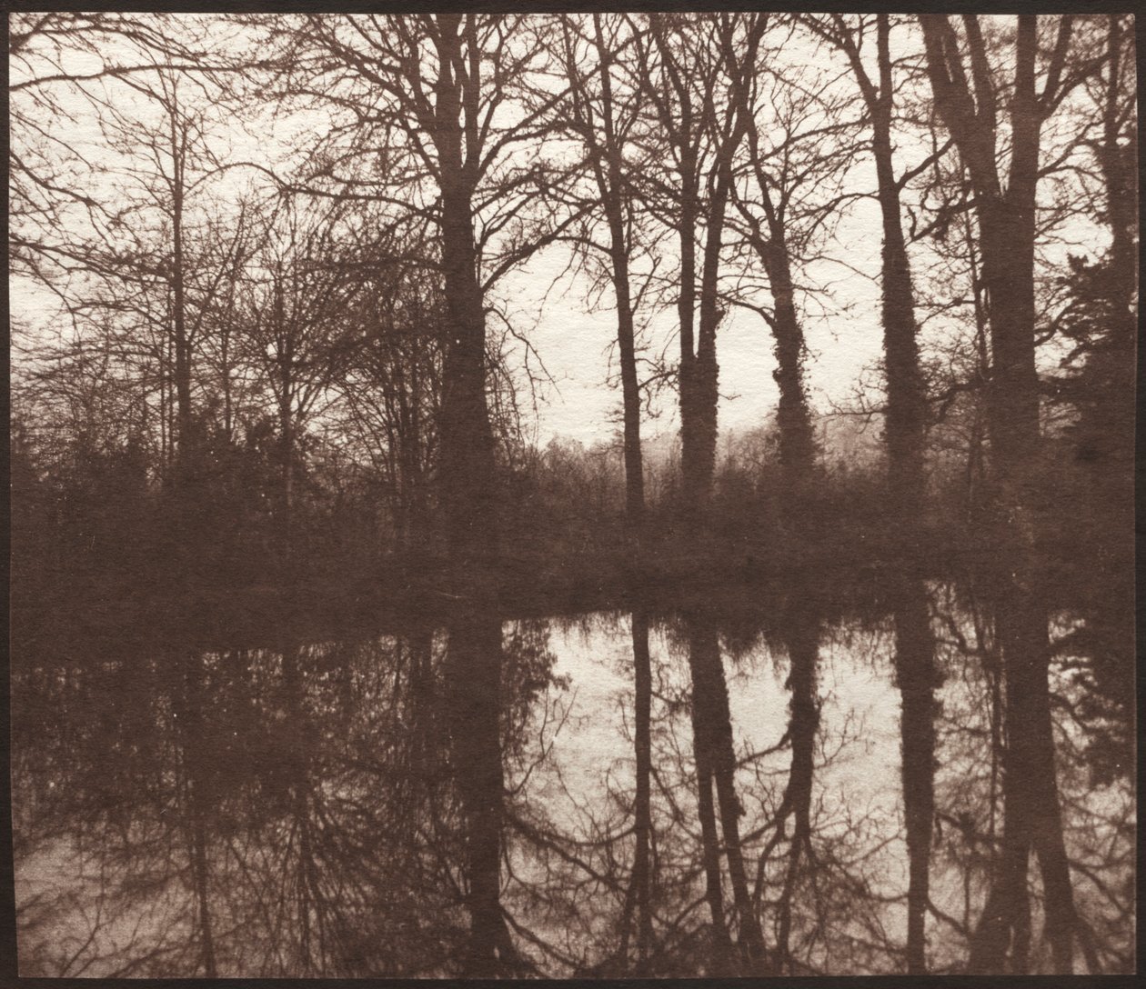 Zimowe drzewa odbite w stawie autorstwa William Henry Fox Talbot