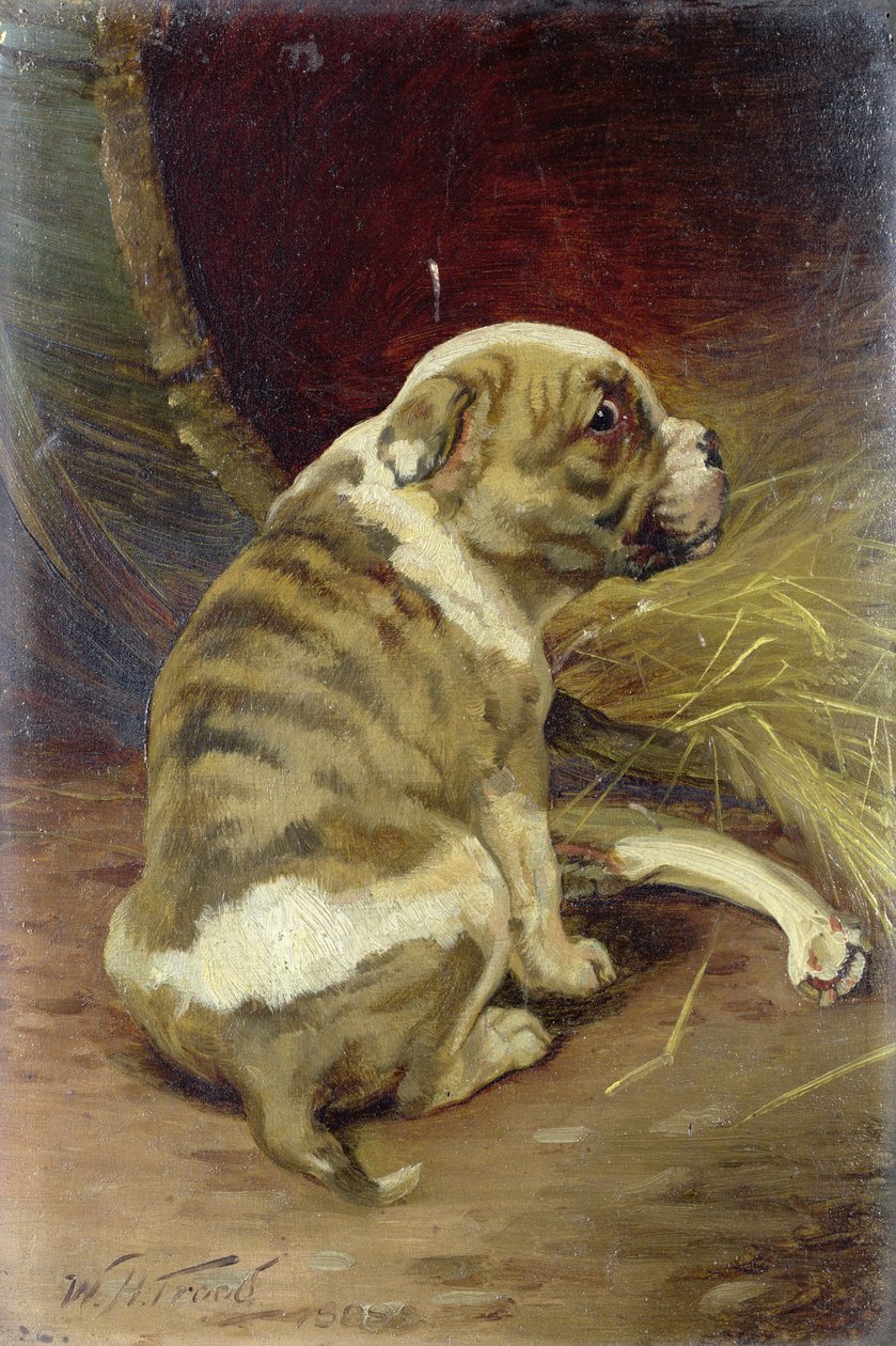 Daj psu kość, 1888 (plansza) autorstwa William Henry Hamilton Trood