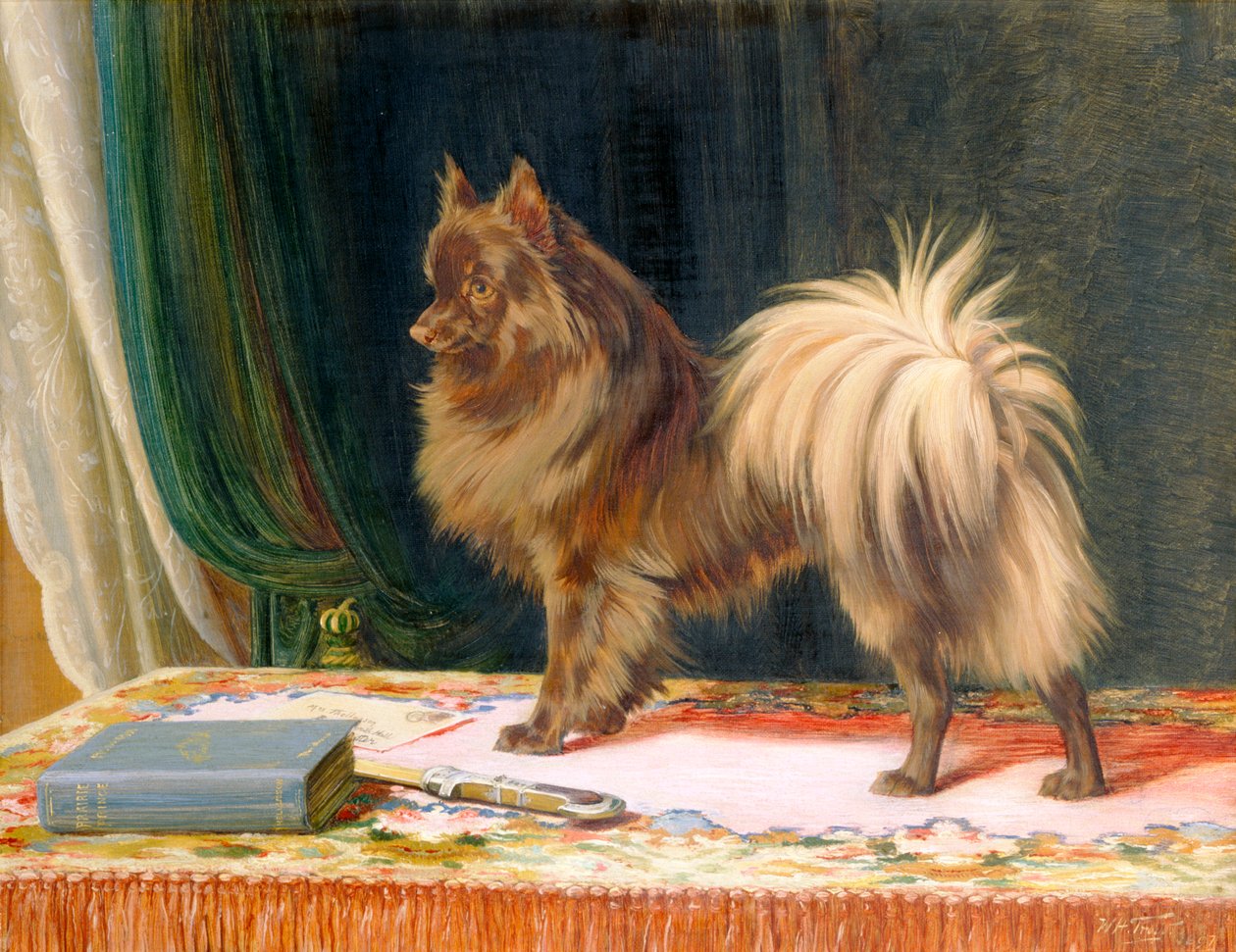 „Portret Księcia Prerii”, 1897 autorstwa William Henry Hamilton Trood