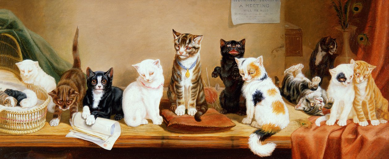 Prawa kobiet - spotkanie, 1885 r. autorstwa William Henry Hamilton Trood