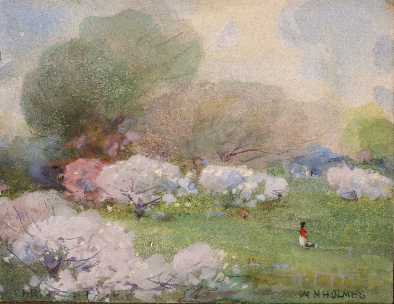 Wiśniowe kwiaty, b.d. autorstwa William Henry Holmes