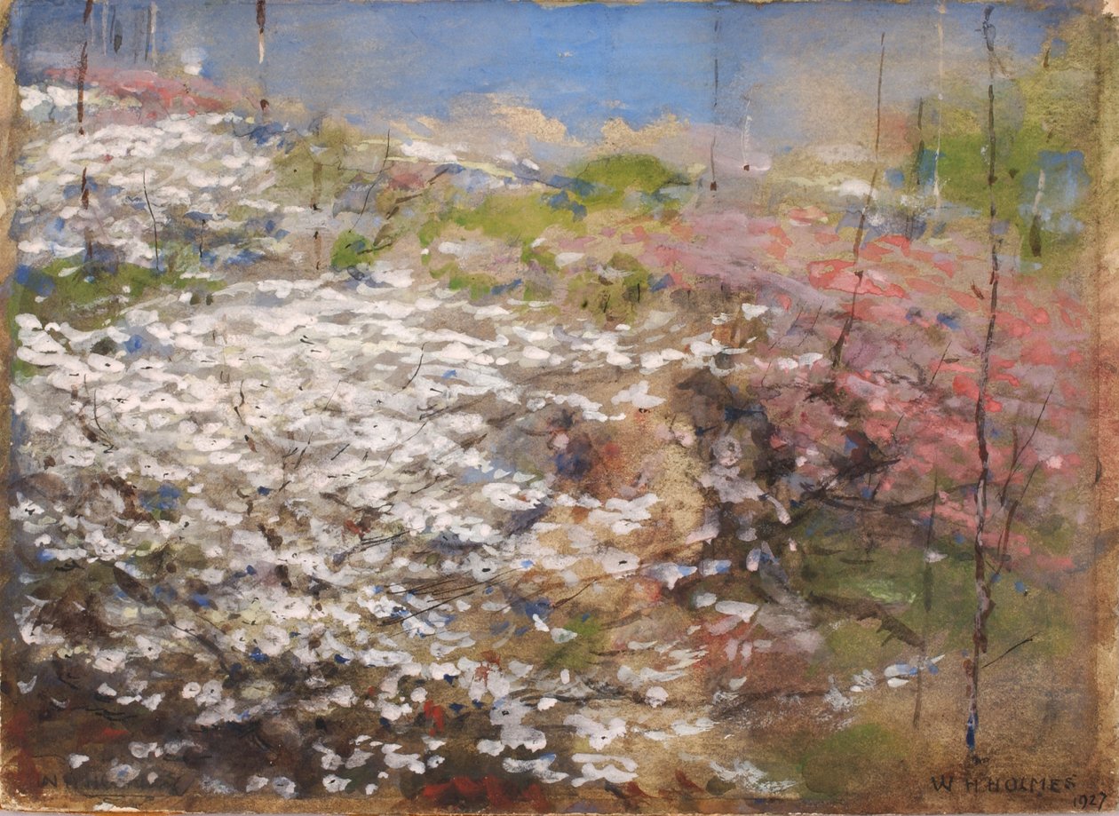 Pole Kwiatów, 1927. autorstwa William Henry Holmes