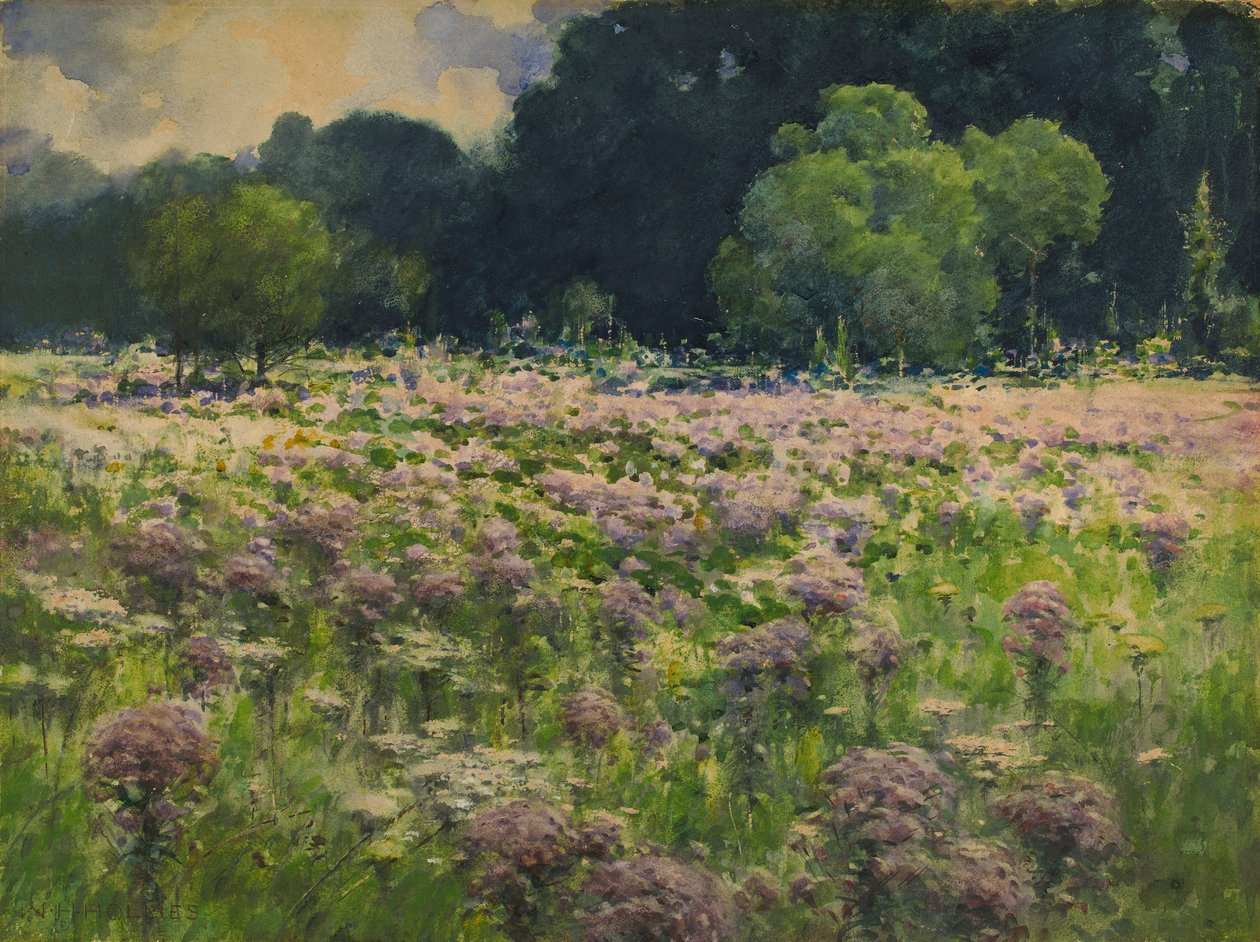 Field of Joe Pie Weeds (Duma łąki) autorstwa William Henry Holmes