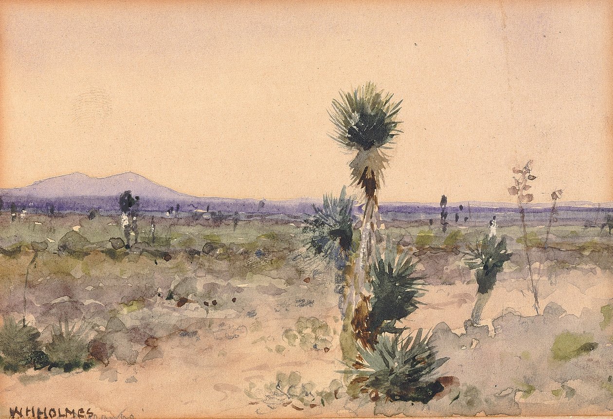 Yuccaland--Chihuahua, Meksyk autorstwa William Henry Holmes