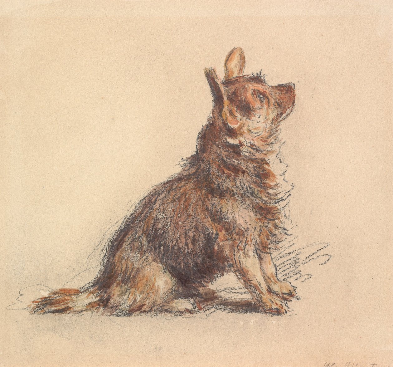 Siedzący terier, patrzący w górę w prawo autorstwa William Henry Hunt