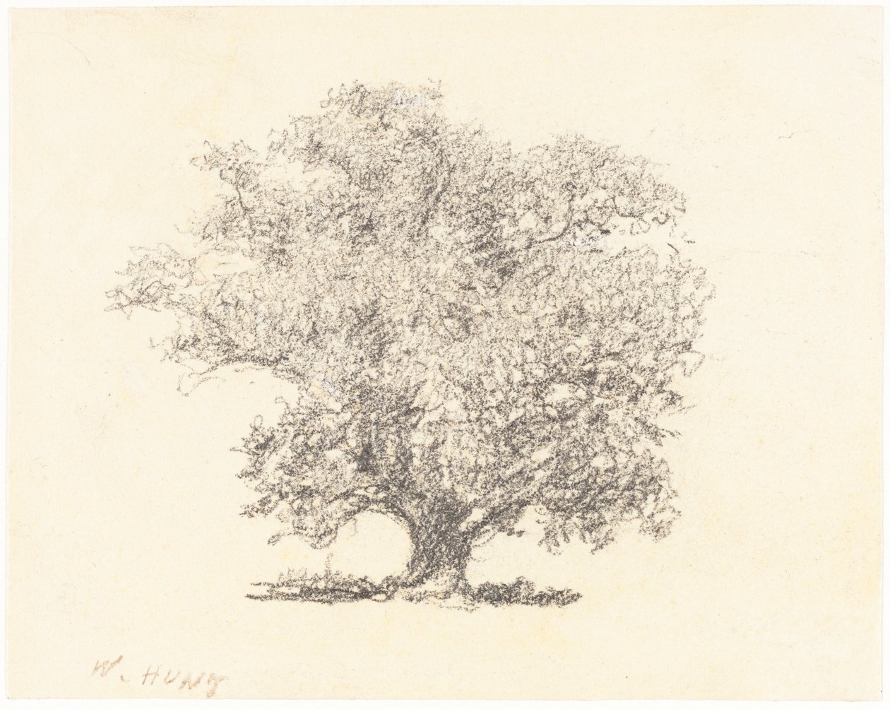 Drzewo w pełnym liściu autorstwa William Henry Hunt