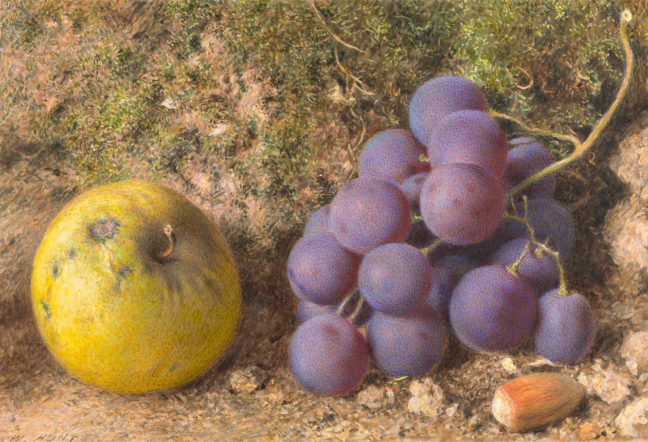 Jabłko, winogrona i orzech kolby autorstwa William Henry Hunt