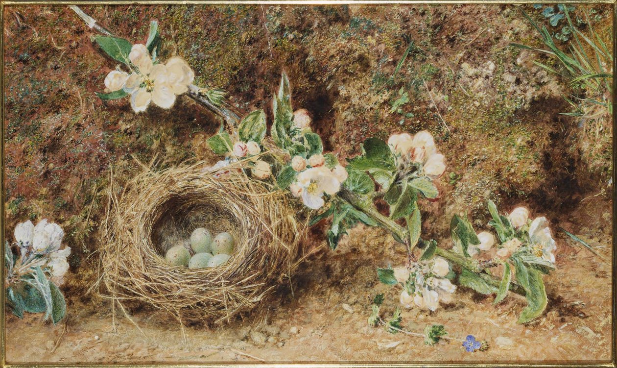 Ptasie gniazdo i kwiat autorstwa William Henry Hunt