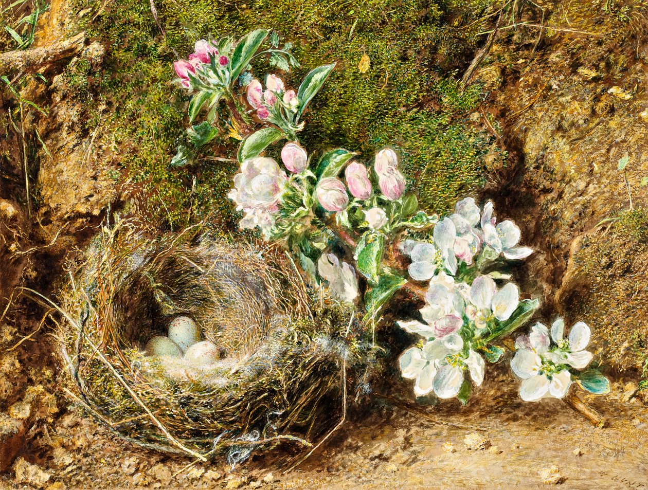 Gałąź kwiatu jabłoni i ptasie gniazdo autorstwa William Henry Hunt
