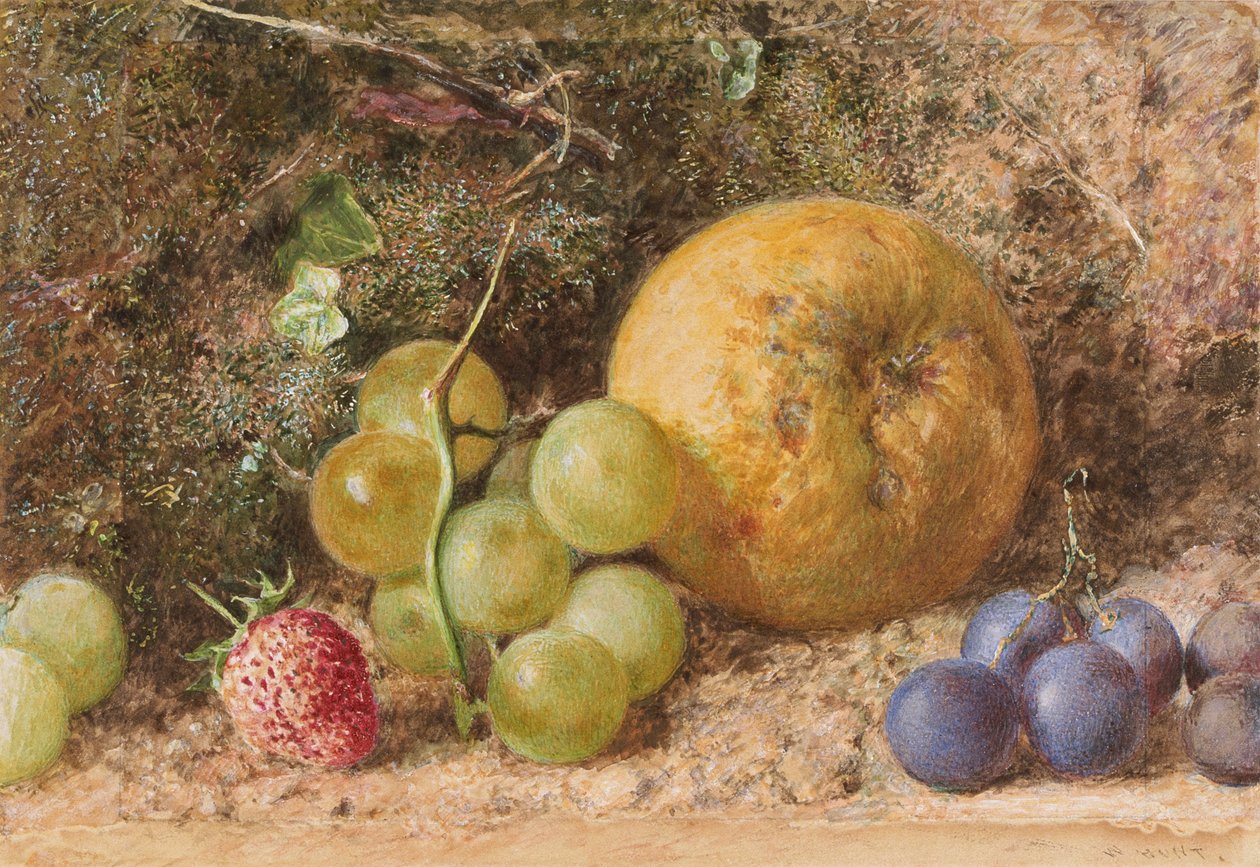 „Kawałek owoców”, ok. 1855 r. autorstwa William Henry Hunt