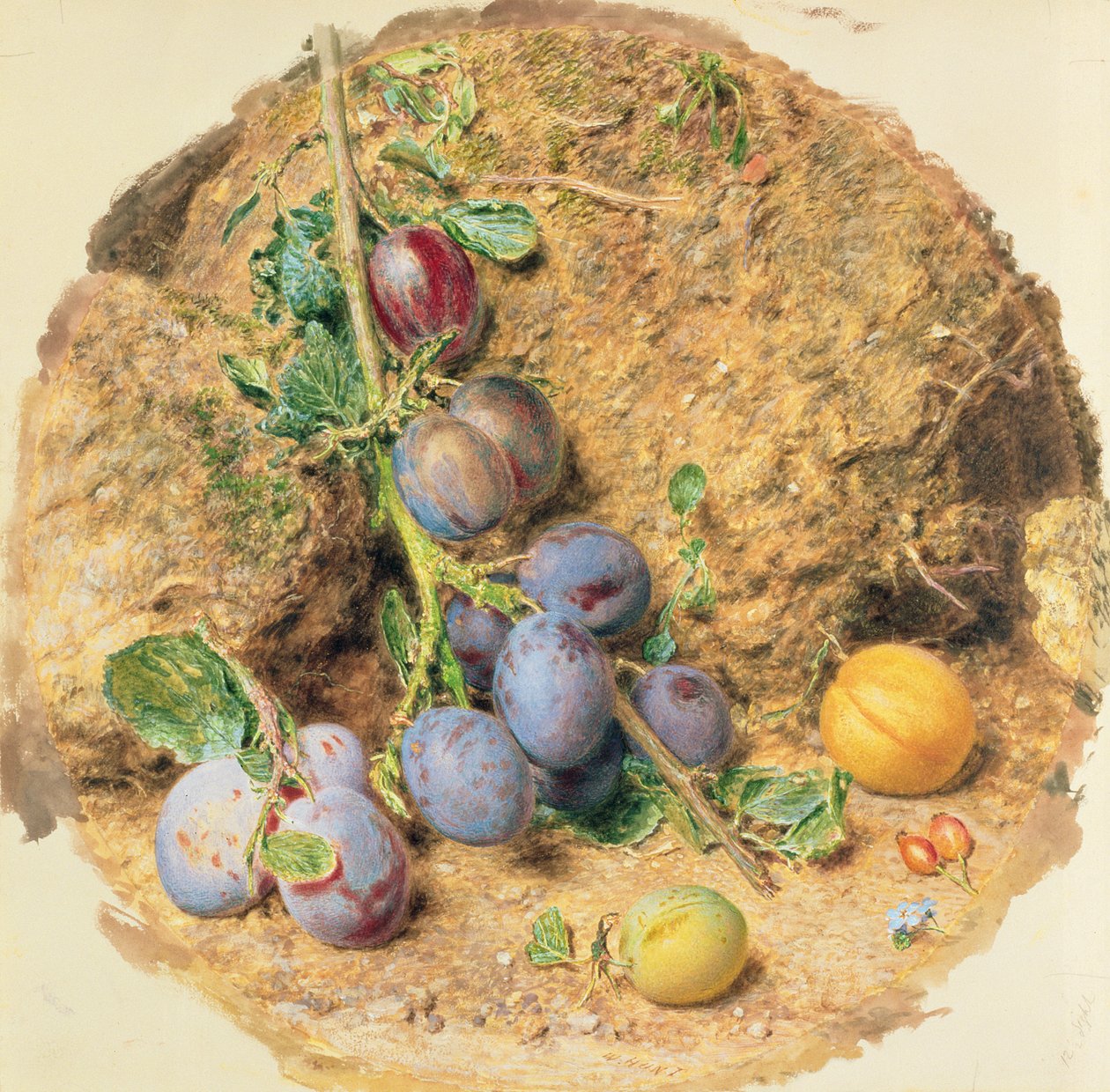 Śliwki autorstwa William Henry Hunt