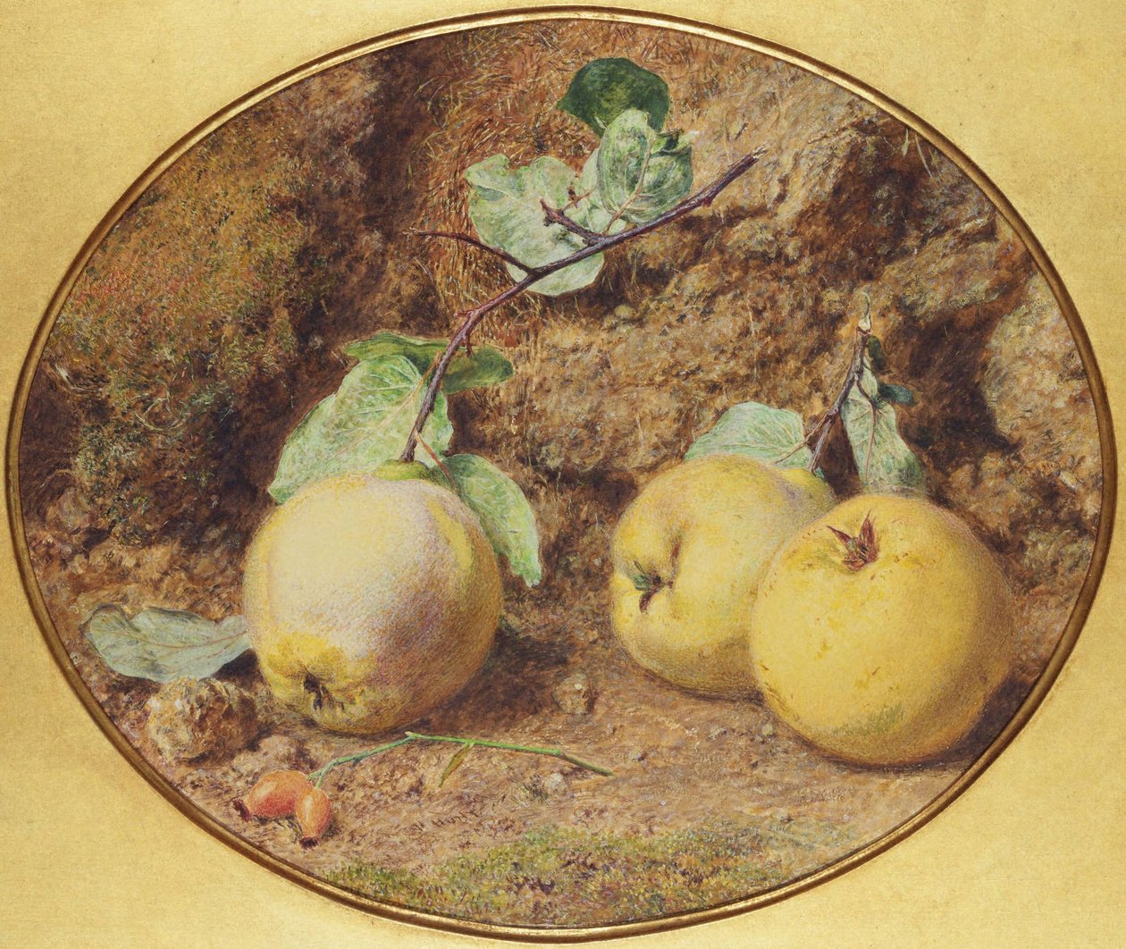 Pigwy i owoce głogu autorstwa William Henry Hunt