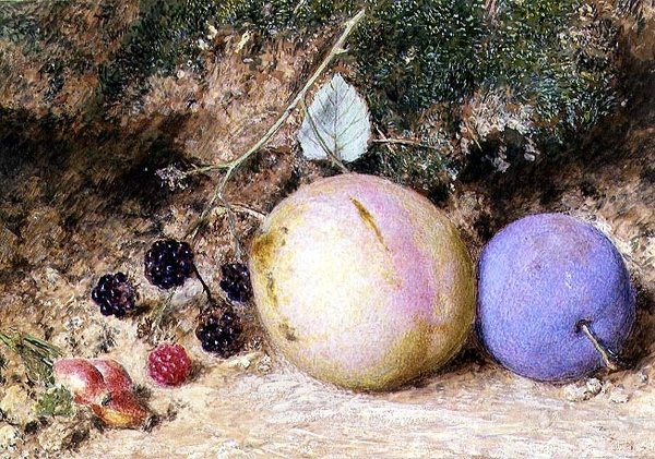 Owoce dzikiej róży, jeżyny i śliwki autorstwa William Henry Hunt