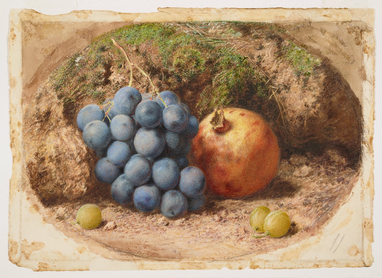 Martwa natura z winogronami i granatem autorstwa William Henry Hunt
