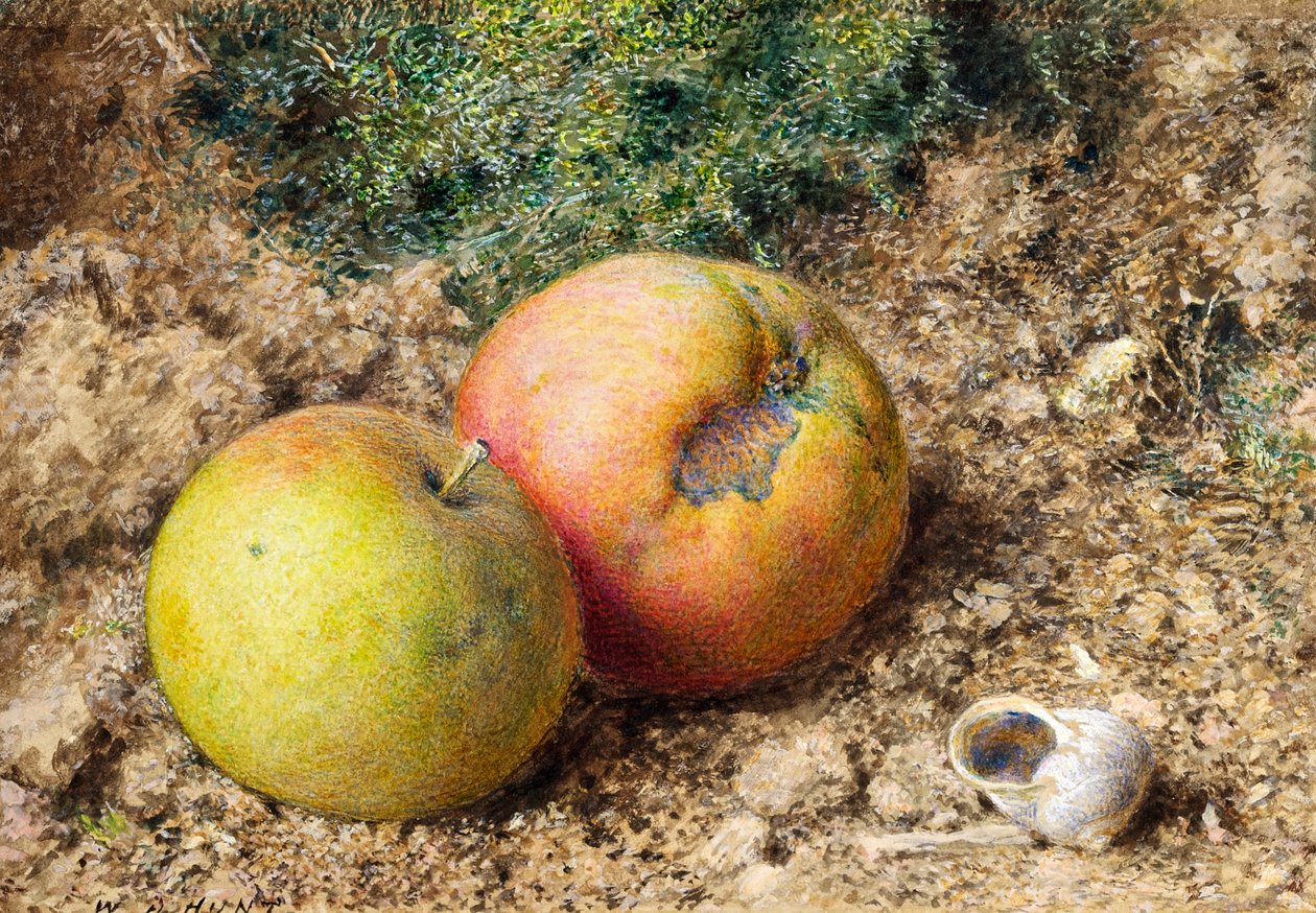 Martwa natura z dwoma jabłkami i muszlą ślimaka autorstwa William Henry Hunt
