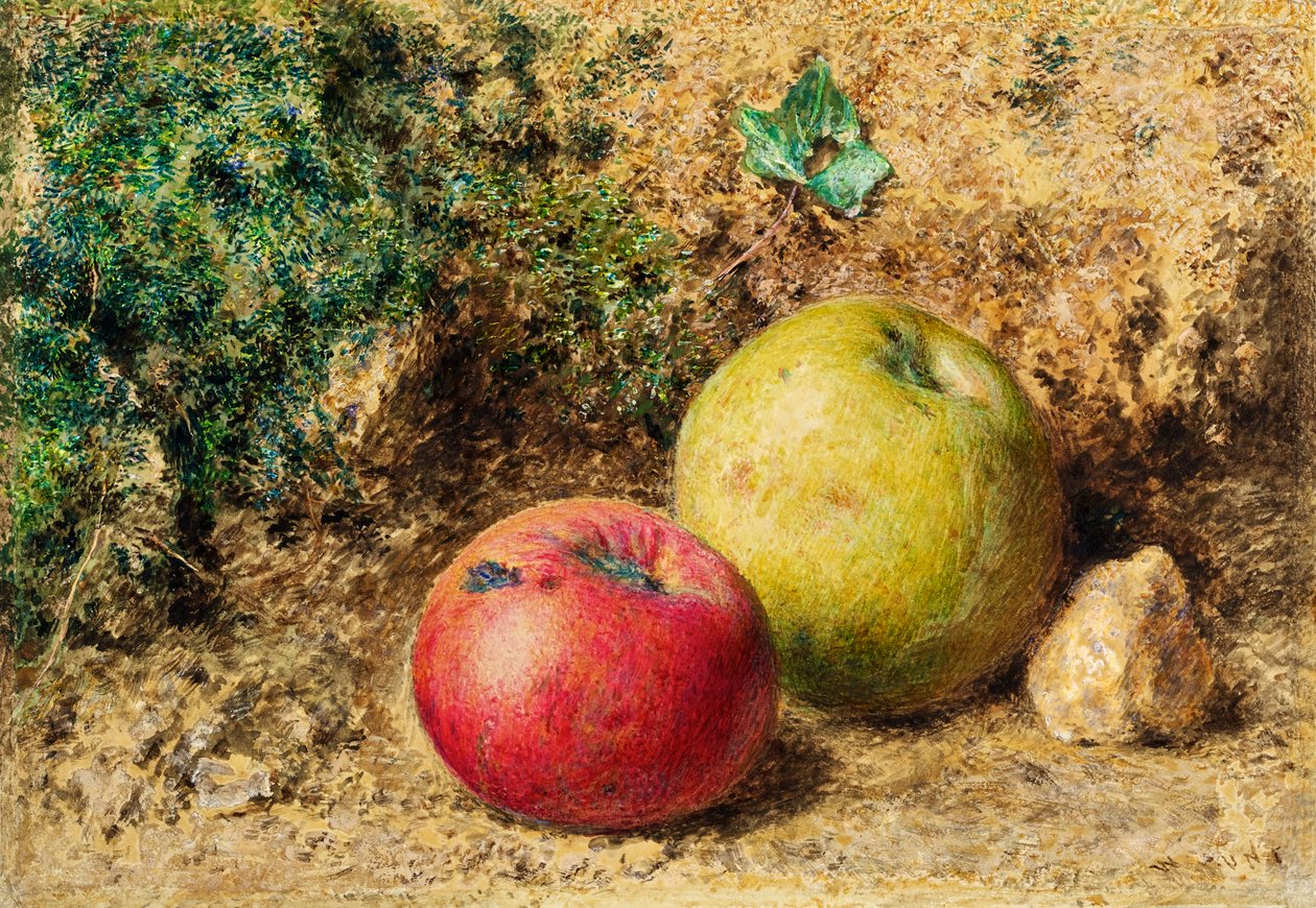 Kontrast - czerwone i zielone jabłka, ok. 1860 r. autorstwa William Henry Hunt