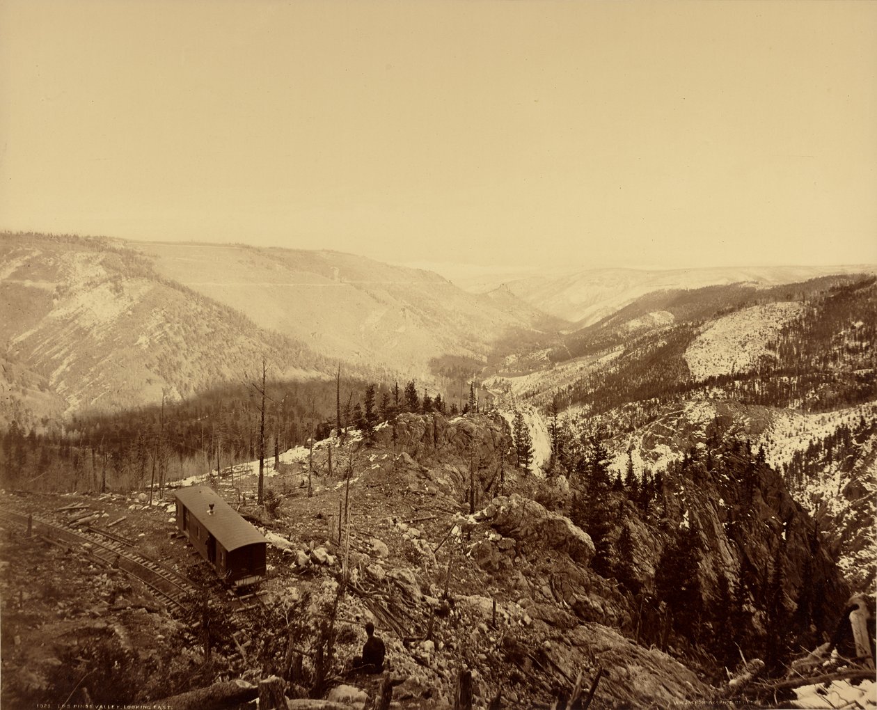 Dolina Los Pinos, patrząc na wschód autorstwa William Henry Jackson