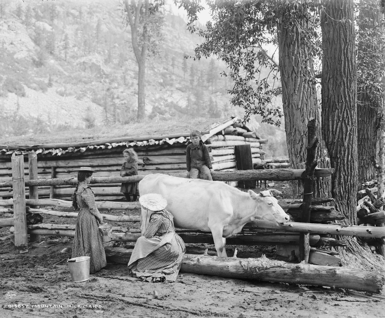 Górskie pokojówki w Kolorado, ok. 1900 (zdjęcie czarno-białe) autorstwa William Henry Jackson