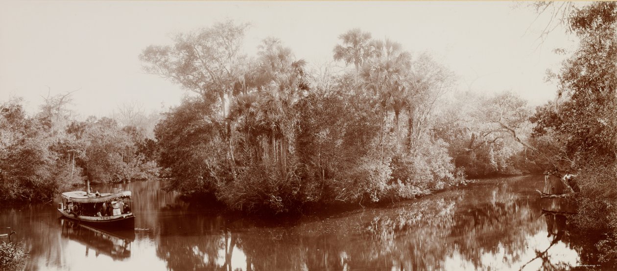 Na Tomoka w pobliżu Ormond na Florydzie autorstwa William Henry Jackson