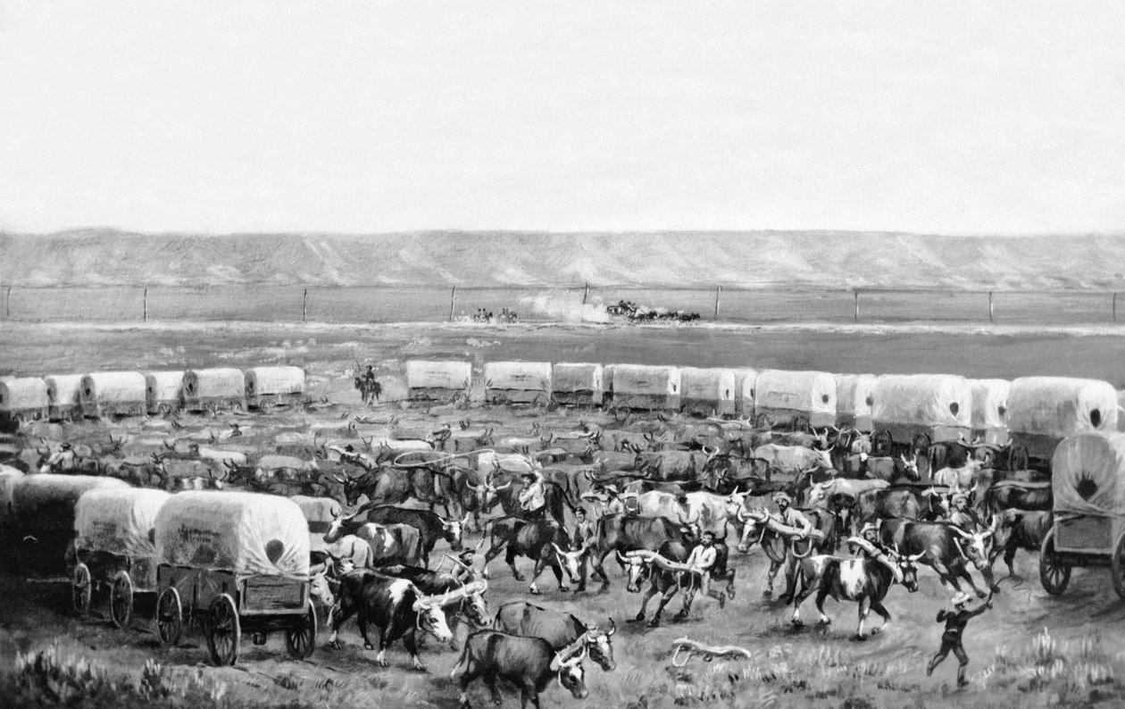 Woły zaprzęgnięte w zagrodzie krytych wozów na obrazie W.H. Jacksona, Scotts Bluff, Nebraska: 1875 autorstwa William Henry Jackson