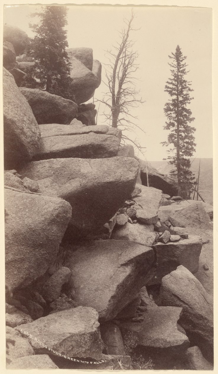 [Rocks Study, Green Mountain Falls, Colorado]. autorstwa William Henry Jackson
