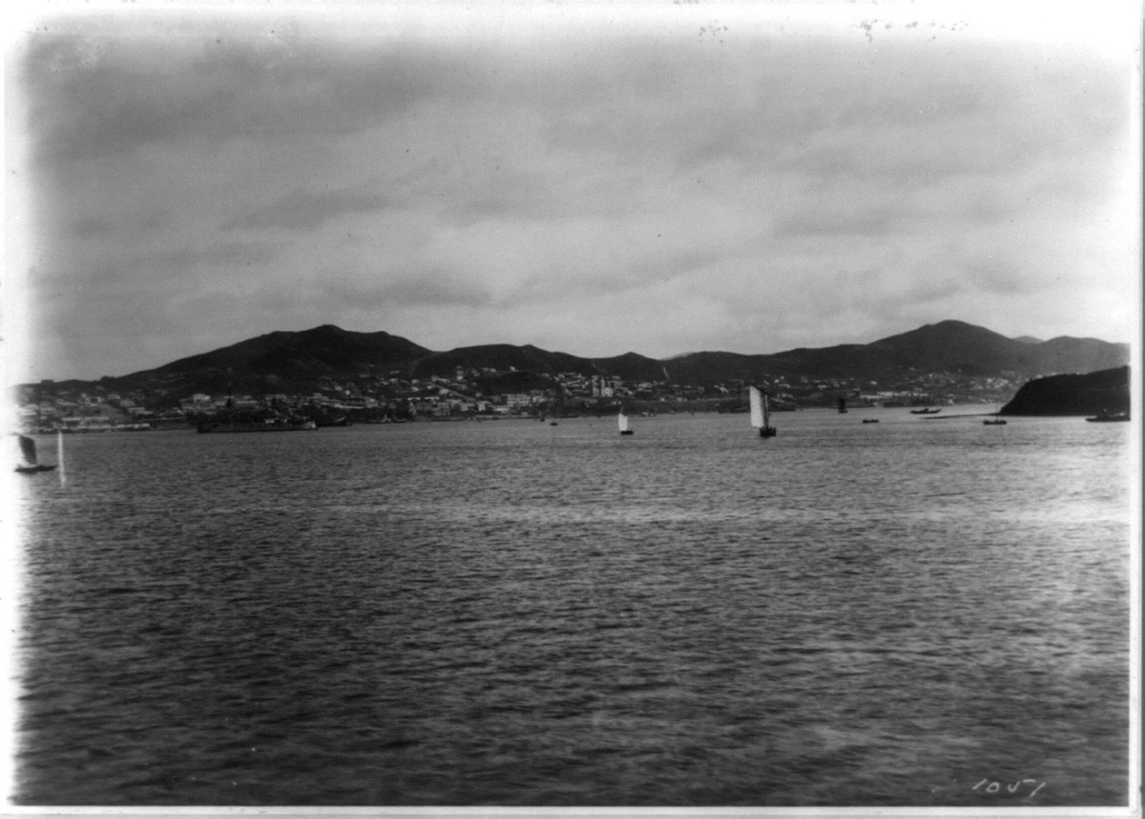 Władywostok - panoramiczny widok z portu autorstwa William Henry Jackson