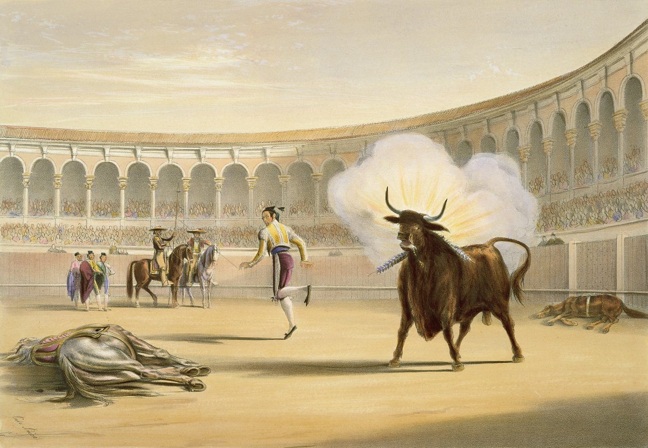 Flagi ognia, 1865 autorstwa William Henry Lake Price