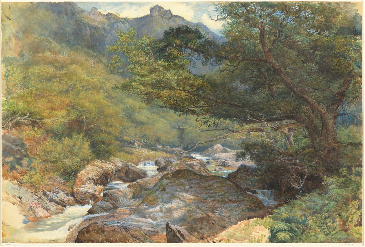 Na wschodnim Lyn, North Devon autorstwa William Henry Millais