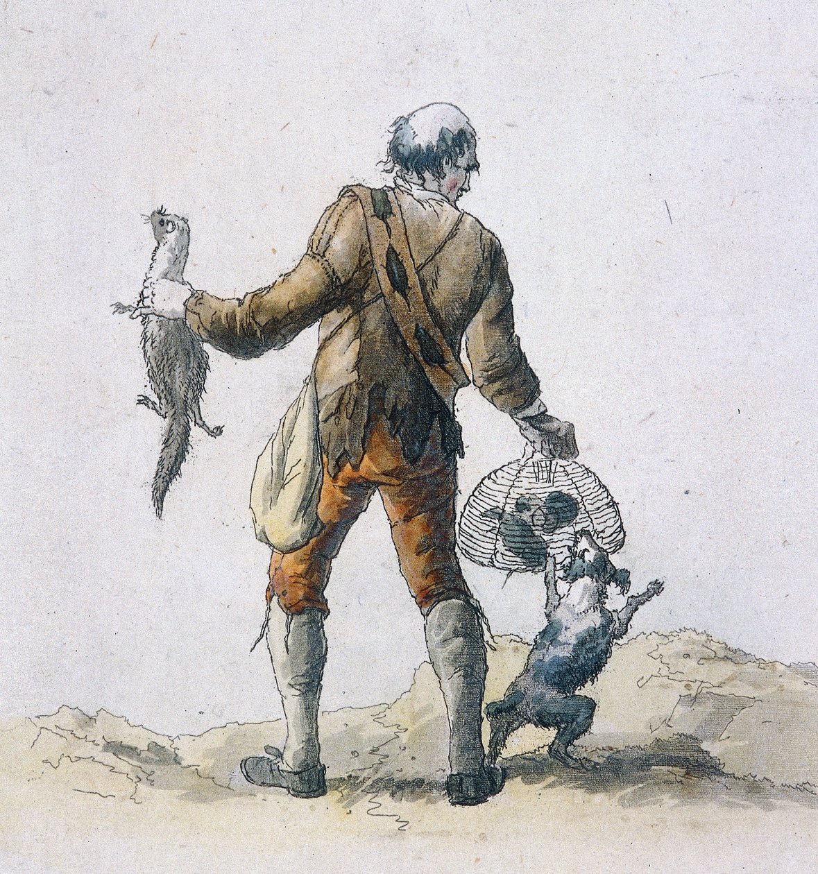 Szczurołap, Postacie Prowincjonalne, 1804 autorstwa William Henry Pyne