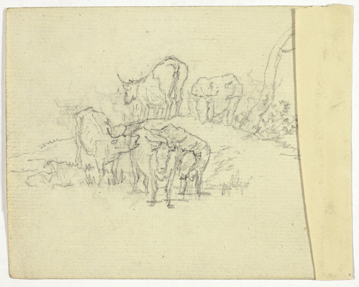 Bydło (rekto); Szarlatan (verso) autorstwa William Henry Pyne