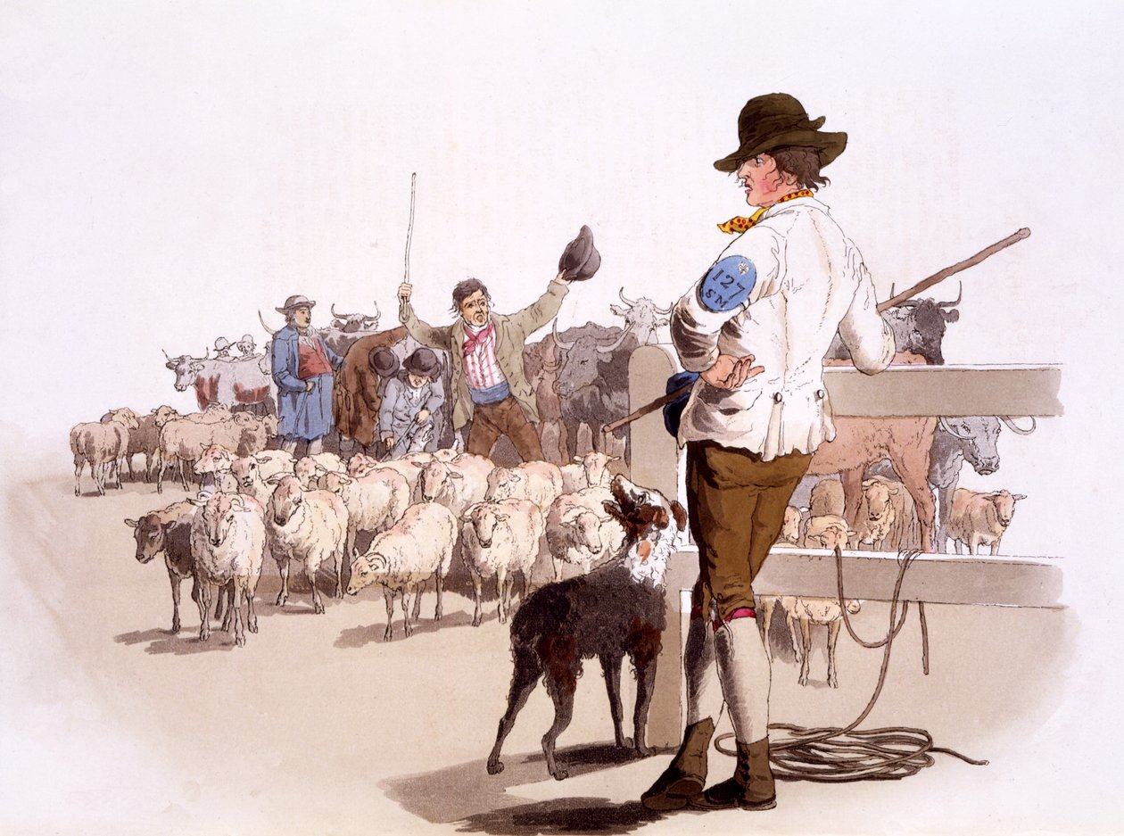 Pasterze owiec i bydła, z The Costumes of Great Britain, wyd. Henry Miller, 1805 (odbitka ręcznie kolorowana) autorstwa William Henry Pyne