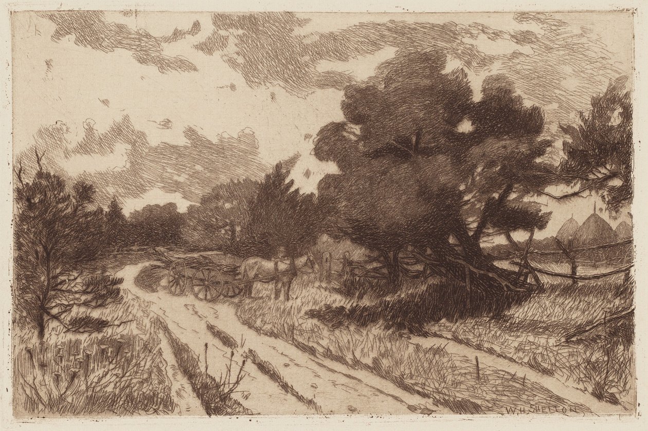 Droga na Long Island autorstwa William Henry Shelton