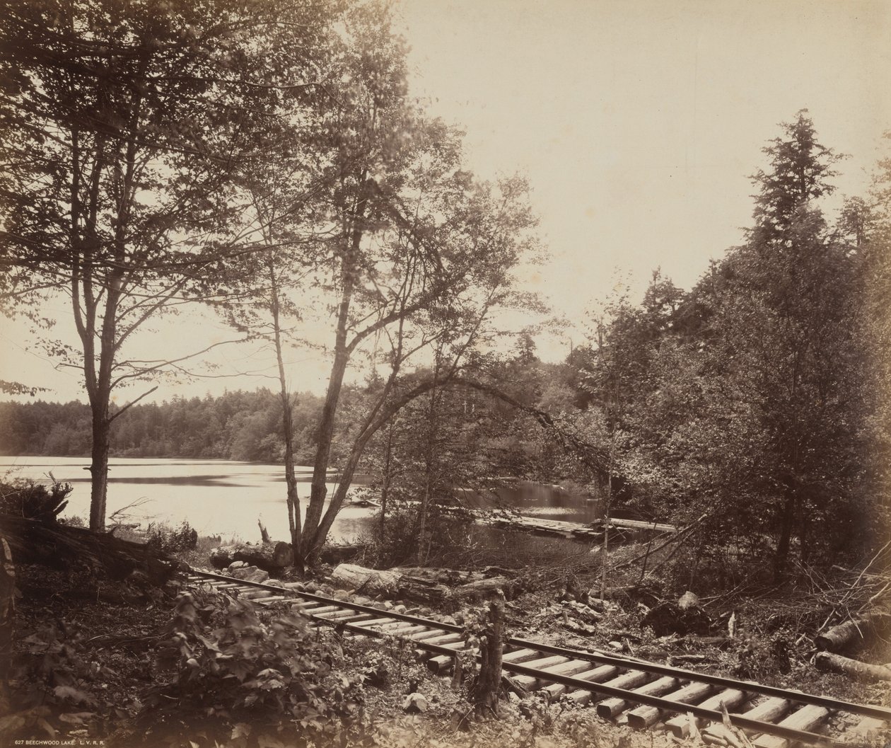 Jezioro Beechwood, ok. 1895 (zdjęcie) autorstwa William Herman Rau