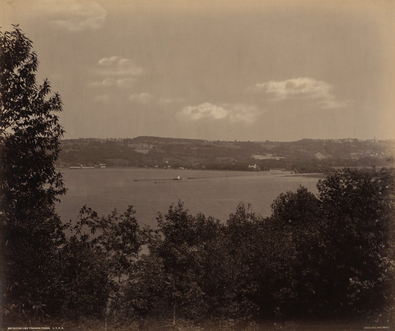 Jezioro Cayuga w kierunku Ithaca, ok. 1895 (zdjęcie) autorstwa William Herman Rau