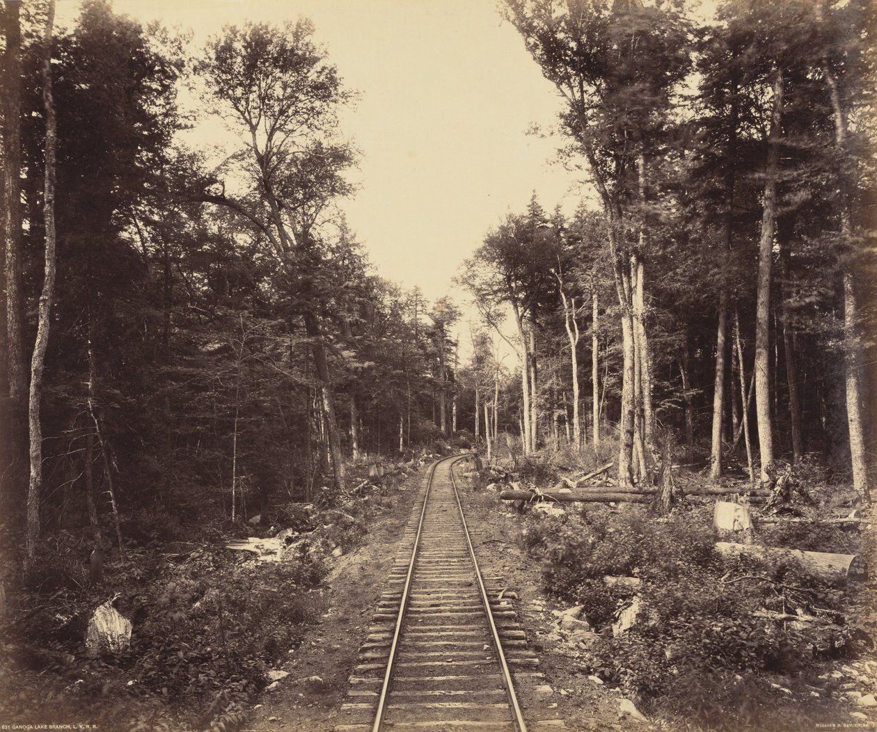 Ganoga Lake Branch, ok. 1895 r. (zdjęcie) autorstwa William Herman Rau