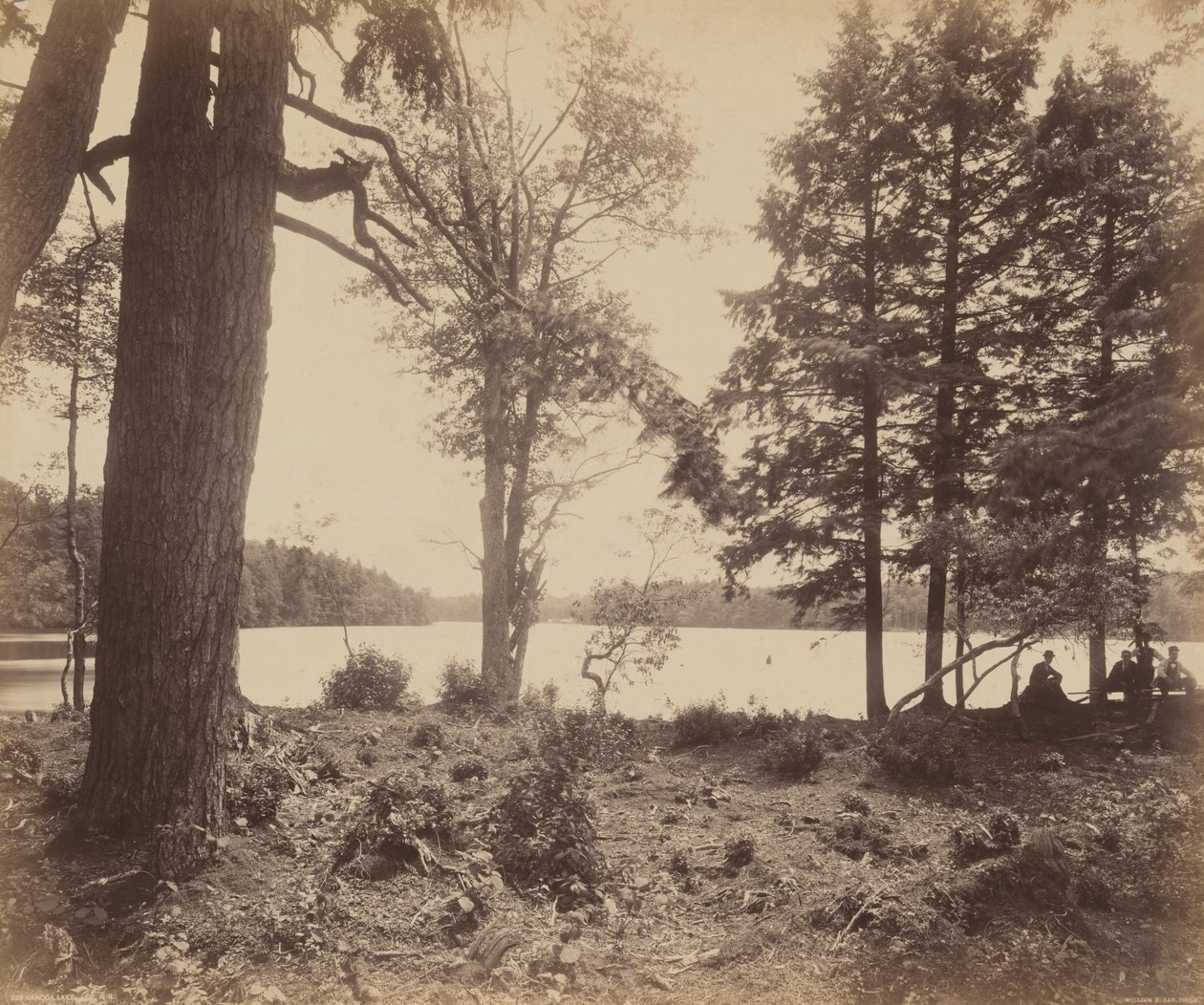 Jezioro Ganoga, ok. 1895 r. (zdjęcie) autorstwa William Herman Rau