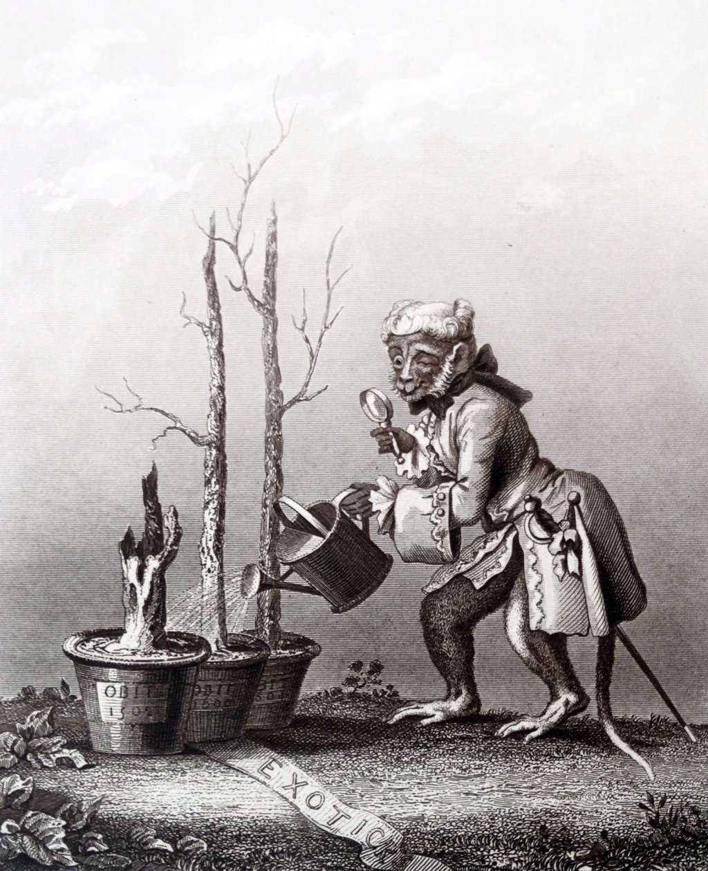 Fragment ogona do katalogu artysty autorstwa William Hogarth