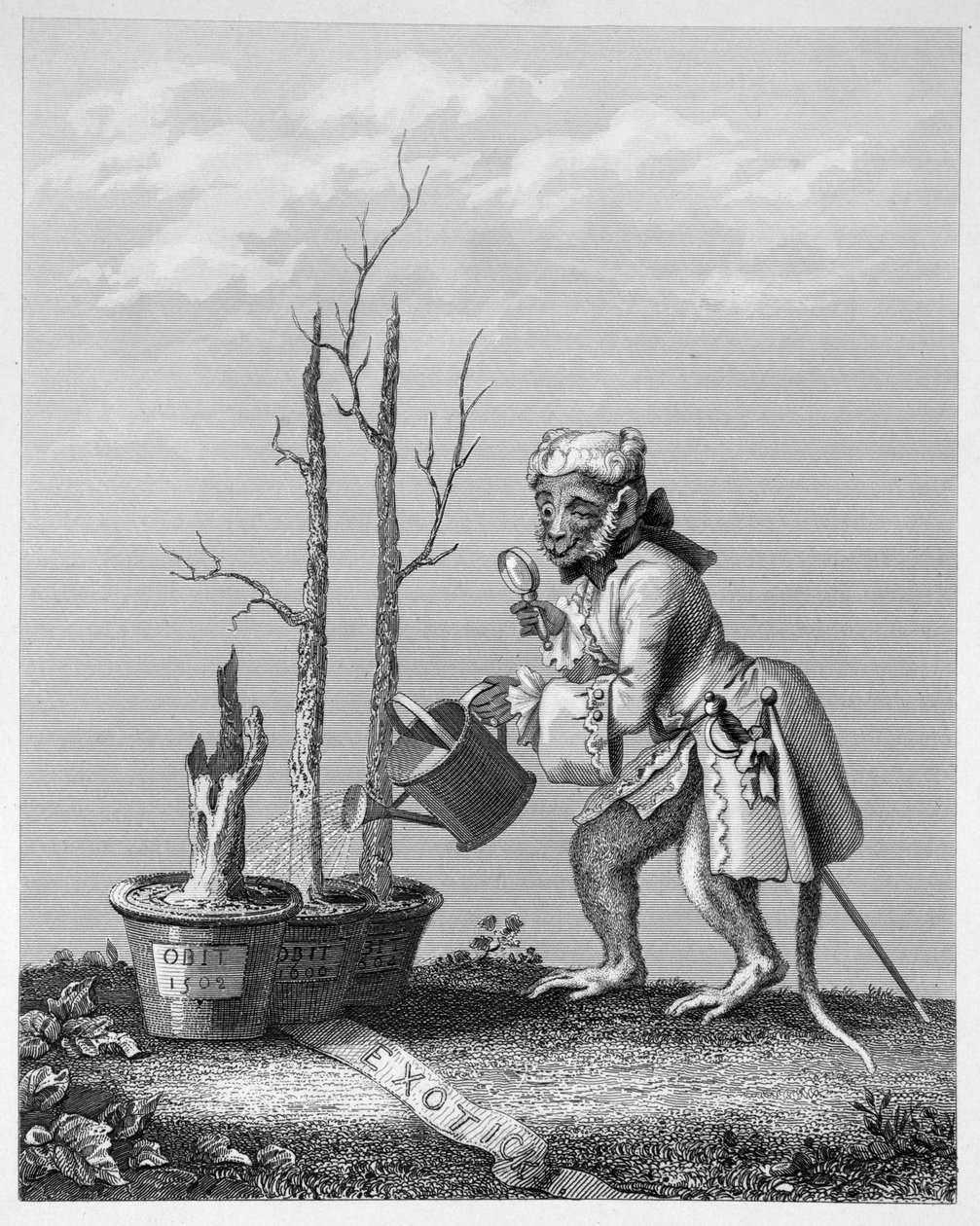 Ogon, kawałek do katalogu artystów, 1761 autorstwa William Hogarth