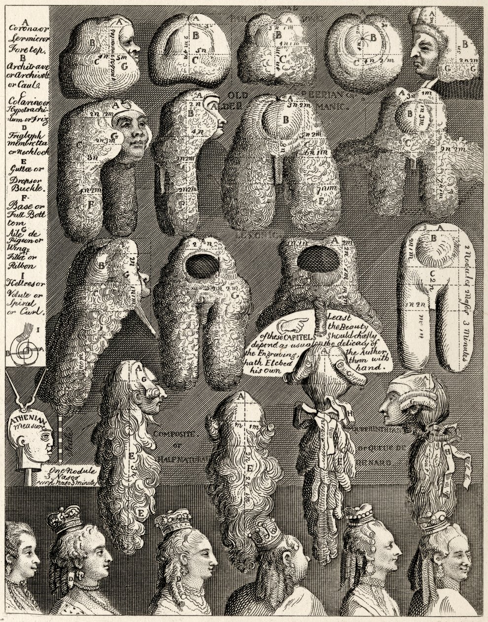 Pięć Orderów Perriwigów z „Dzieł Williama Hogartha”, opublikowanych w 1833 r. autorstwa William Hogarth