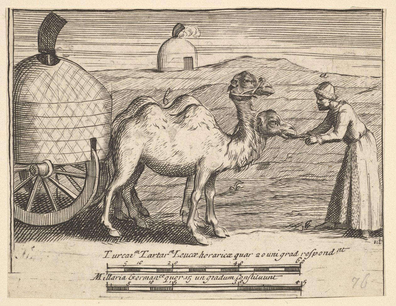 Dwa dromadery Aubry de La Mottrayes Podróżuje po Europie, Azji i części ..., 1723-24. autorstwa William Hogarth