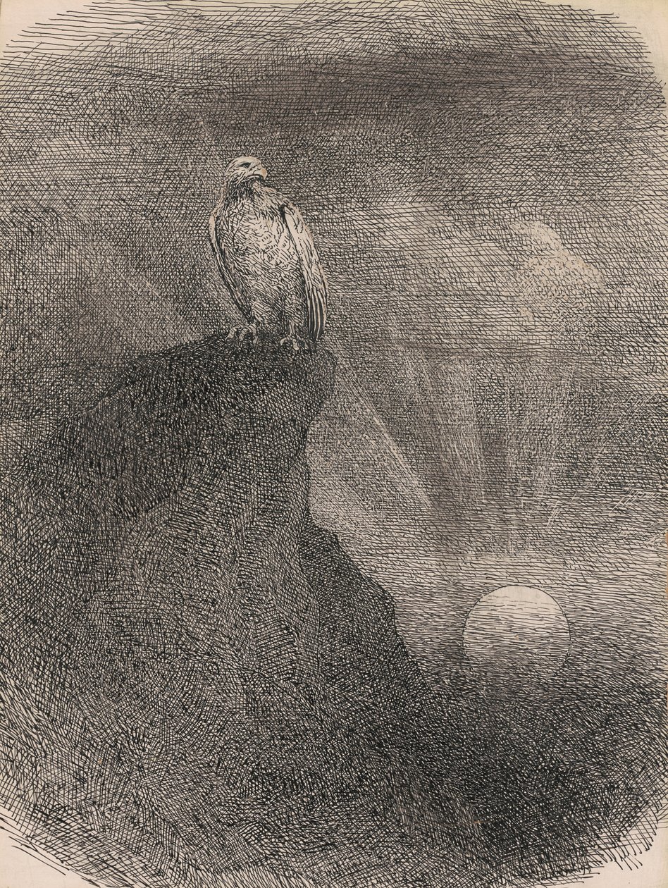 Genius, 1865-95 (pióro, atrament i grafit na tekturze) autorstwa William Holbrook Beard
