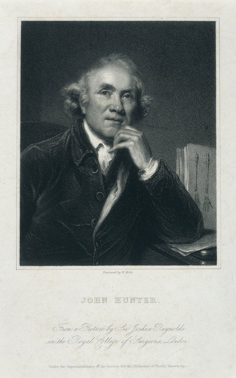 John Hunter, FRS, c1850-c1870 autorstwa William Holl