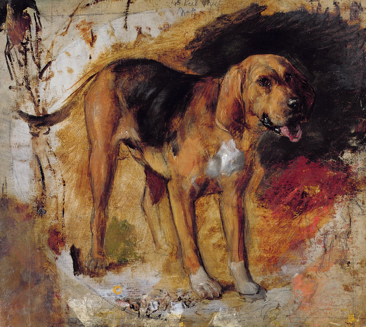 Studium ogara autorstwa William Holman Hunt