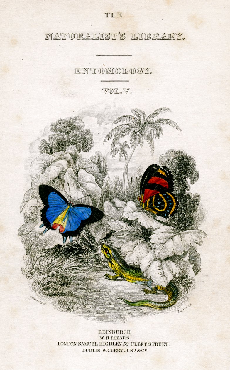 Biblioteka Przyrodników, Entomologia, tom V, Motyle, c1833-1865. autorstwa William Home Lizars