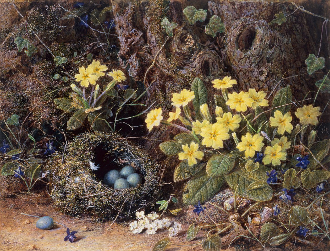 Martwa natura z ptasim gniazdem, pierwiosnkami i fiołkami (ołówek i akwarela) autorstwa William Hough
