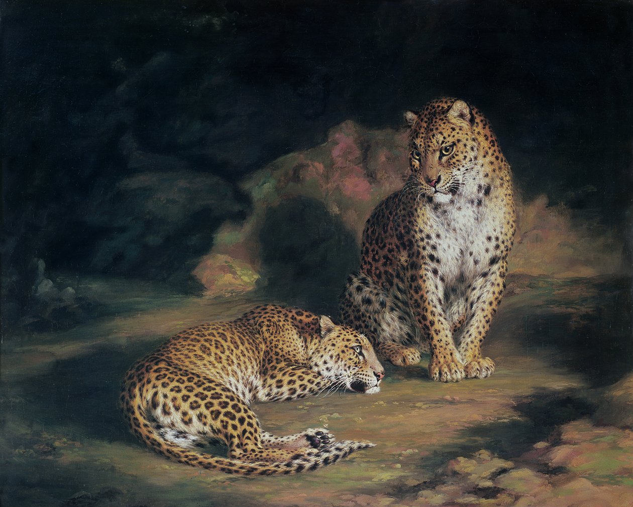 Para lampartów, 1845 autorstwa William Huggins