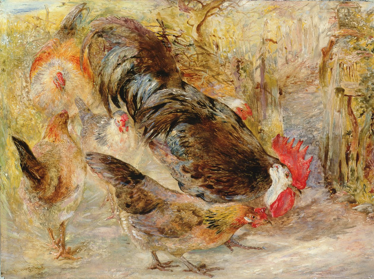 Barn Door Fowl (Rhode Island Reds), 1860 autorstwa William Huggins